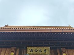 -深圳仙湖植物园