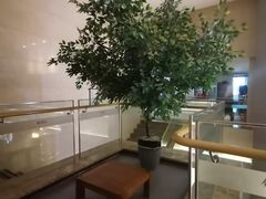 -钓鱼岛洗浴休闲会馆(卫星路店)