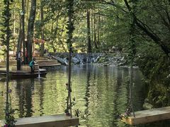 -牛背梁国家森林公园