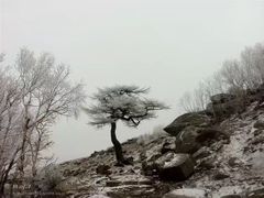 -北京灵山风景区
