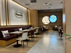 -哈根达斯(国瑞店)