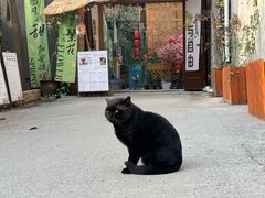 -悟空山宿陨石私汤温泉酒店(神舟大道地铁站店)