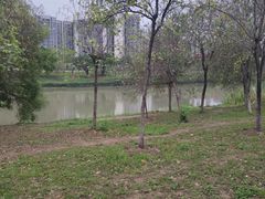 -广东花都湖国家湿地公园