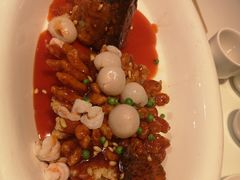 松鼠桂鱼-金鼎轩(亚运村店)