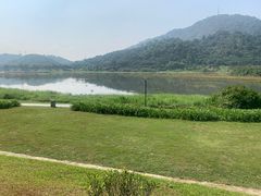 -风云岭森林公园