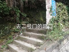 -大金鹰园