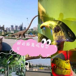 -恐龙探索乐园(磁器口店)