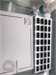 -Wisezone唯点穿耳打耳洞专业国际连锁品牌