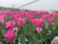 -白沙门生态公园