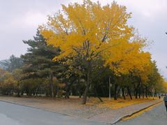 -吉林大学(南岭校区)