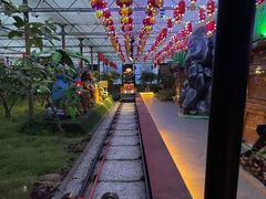 -南宫五洲植物乐园