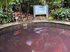 -林丰温泉度假山庄