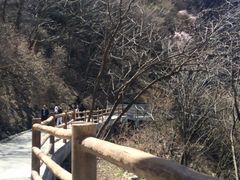-少华山国家森林公园