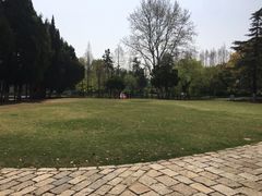 -瀛洲公园