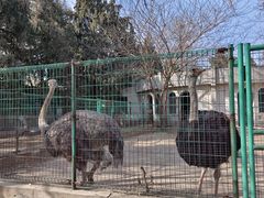 -保定市动物园