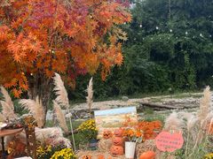 -HERRE·FARM 赫尔露营农场·团建聚会包场