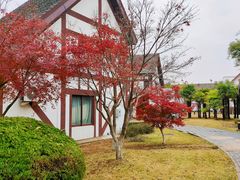 -太阳岛度假酒店