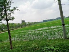 -嘉北郊野公园