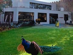 -J Create城市露营咖啡·简餐·宠物(上海动物园店)