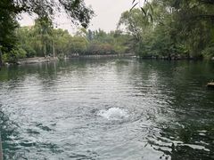 -百脉泉景区