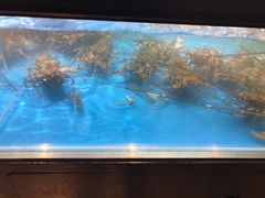 -盒马鲜生(宝地店)