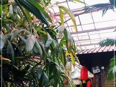 -世外桃源农庄·德清土菜(兴康南路店)