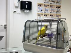 -立德异宠动物医院.兔鸟爬.内窥镜(天河店)
