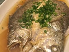 -常州逸高酒店-中餐厅