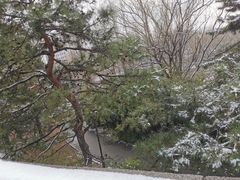 -元大都城垣遗址公园