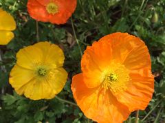 -云南民族大观园