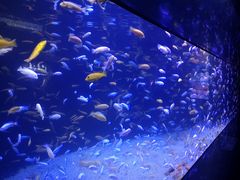 -成都浩海立方海洋公园