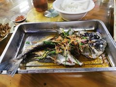 云吞鱼-帆荣农庄