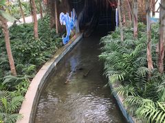 -南宫五洲植物乐园