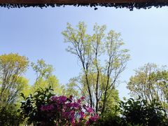 -熊猫主题餐厅