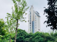 -大渡口区义渡公园