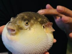 -永安鱼庄·镇江菜(东吴路店)