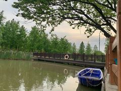 -九科绿洲
