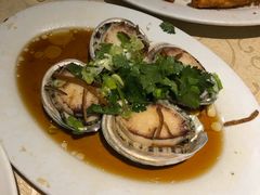 -广东名门