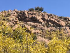 -红山国家森林公园