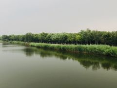 -西青郊野公园