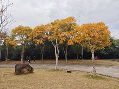 -牛岗山公园