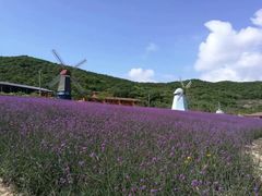 -东海半边山旅游度假区
