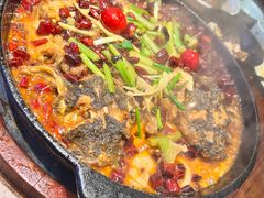 -老板恋上鱼(荣盛广场店)