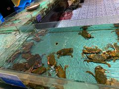 -都市阳光海鲜城(青山湖店)