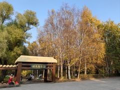 -黑龙江省森林植物园
