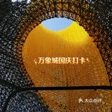 万象城艺术季打卡[胜利]