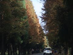 -山王坪喀斯特国家生态公园