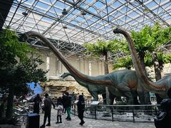 -国家自然博物馆