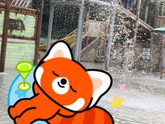-重庆海昌加勒比海水世界