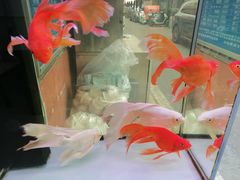 -人和啤酒屋海鲜大排档(营口路店)